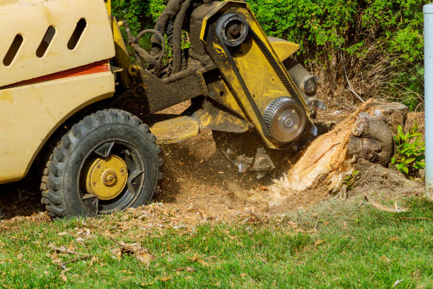 Best Lawn Grading and Leveling  in Ransom Canyon, TX