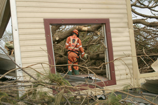 Best Tree Maintenance Programs  in Ransom Canyon, TX